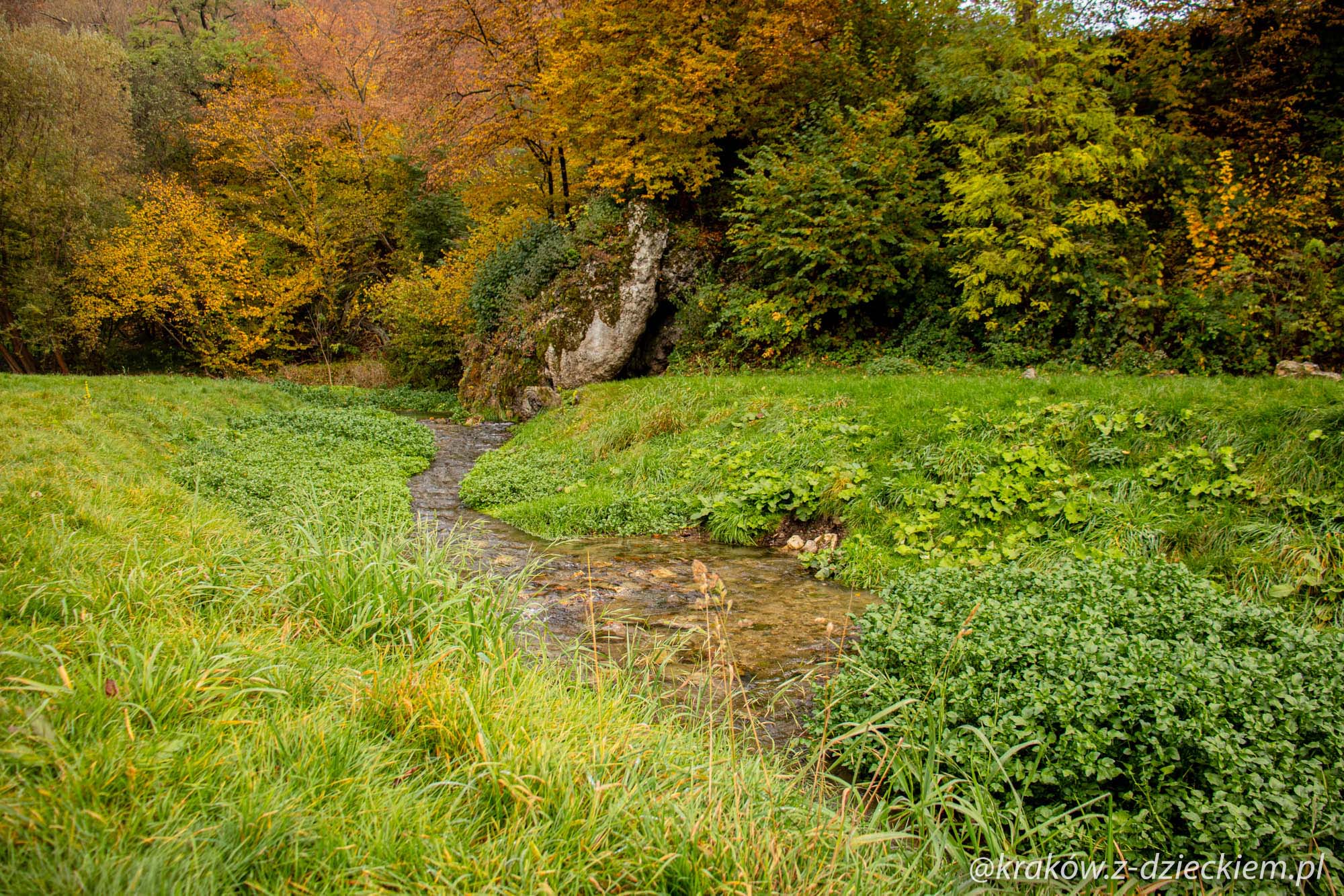 Dolina Pstrąga - Park Dubie i geologiczny plac zabaw Krakowskie Brzdące