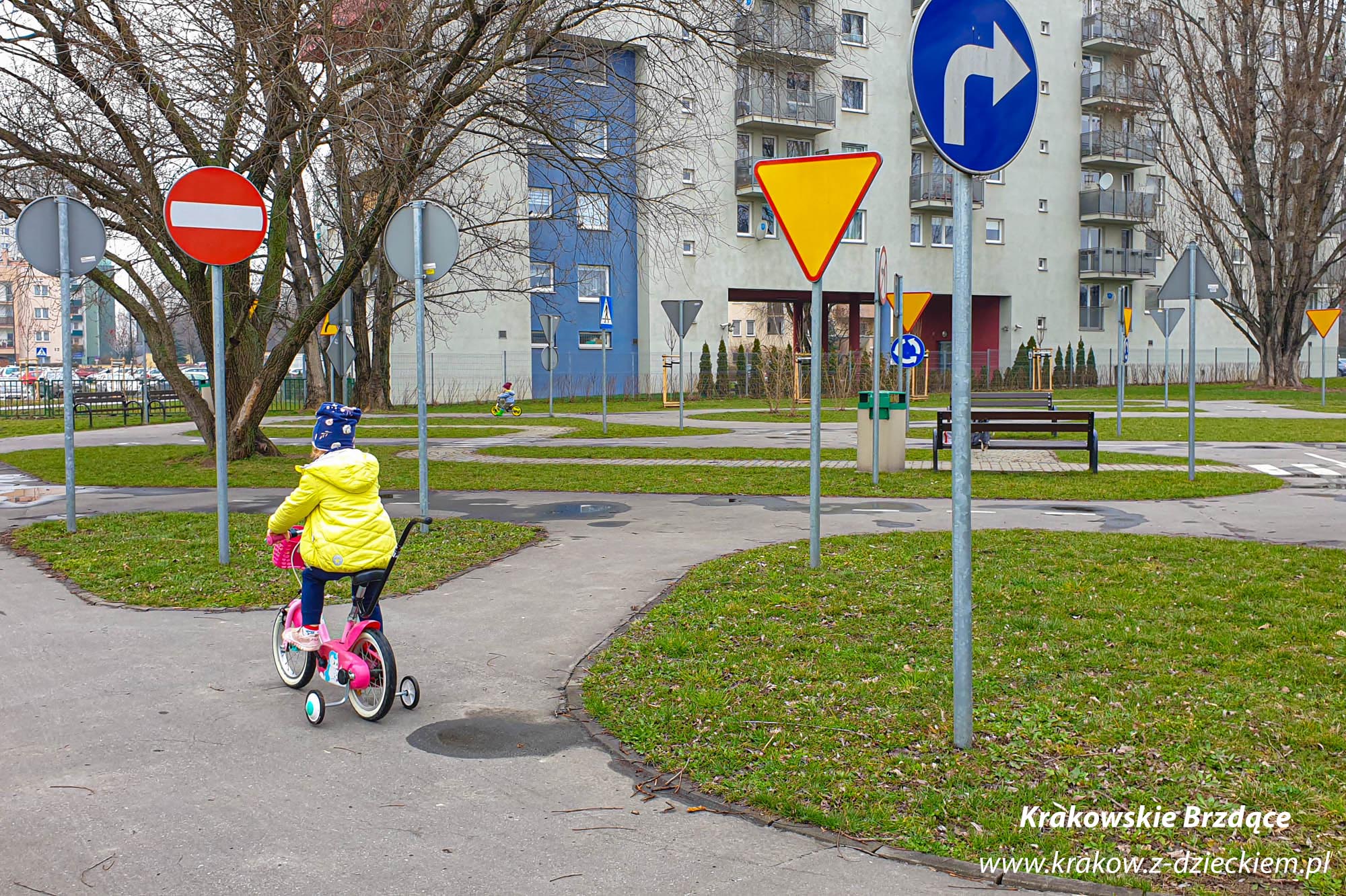 Foundations of Behavioral Research main image 0